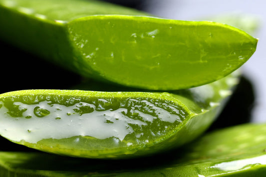 Aloe vera esencia aromática